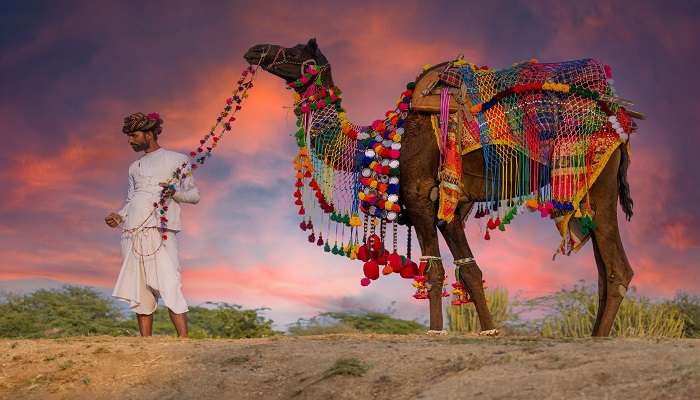 Rabari people in Rajasthan, that you can meet after your Mumbai to Rajasthan road trip