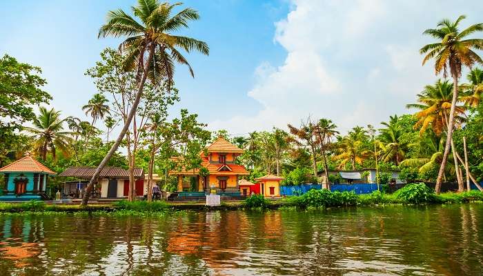 Backwaters in Kerala, a treat to experience during Alleppey to Munnar road trip