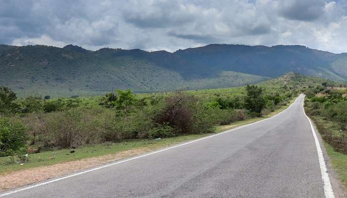 Mysore natural beauty, a place you can explore after your Ooty to Mysore road trip