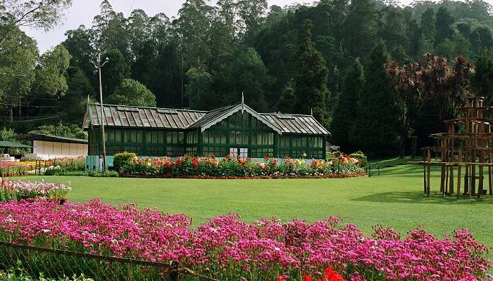 Botanical Garden in Ooty, one of the places to explore after a road trip from Coimbatore to Ooty.