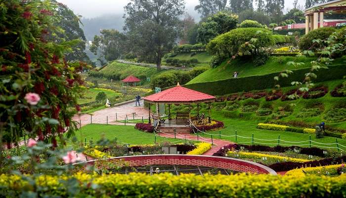 A view of the Rose Garden in Ooty