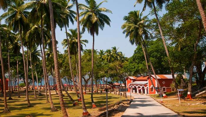 Immerse yourself in the enchanting beauty of Ross Island in Andaman for a memorable experience