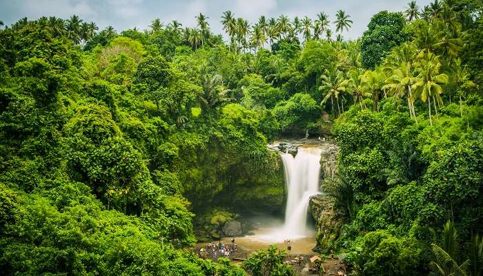 Listen to the melody of the cascading water at Tegenungan Waterfall