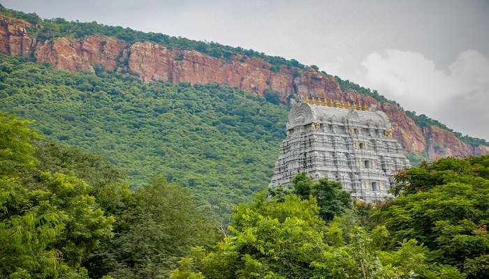The scenic view of Tirumala where Sri Venkateswara Swamy Vaari Temple is located. One can seek the blessing of Lord Vishnu. 