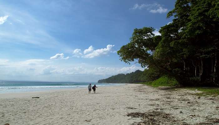 A spectacular view of Beach in Andaman
