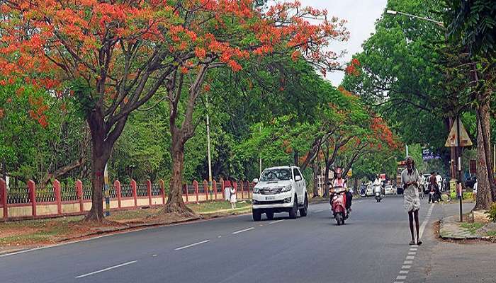 Going along the Western Coast of India, winters are generally considered to be ideal for Mysore to Kerela road trip