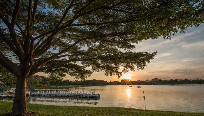Majestic sunset view of Suan Luang King Rama IX Park surrounded by lush greenery and a pond.