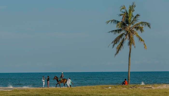 Calm blue sea of the Kalkudah Beach in Sri Lanka