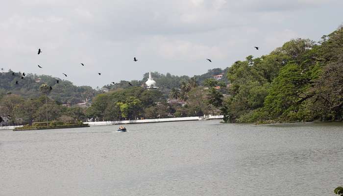 Kandy Lake in Sri Lanka allows you to take a closer look at the surroundings through boating