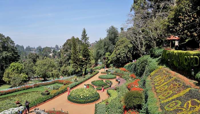 The view of Botanical Gardens in Ooty.