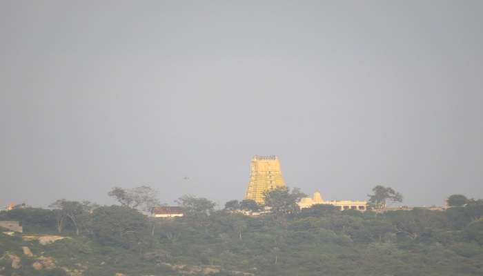 Visiting the Chamundeshwari Temple atop of the Chamundi Hills is one of the best experiences while Trekking near Mysore.