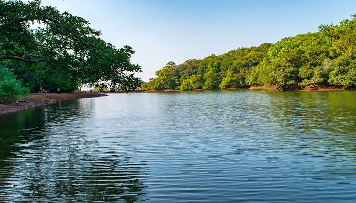 Located in Matheran, Charlotte Lake is a reservoir and perfect for a stroll or picnic on your Mumbai to Hyderabad road trip