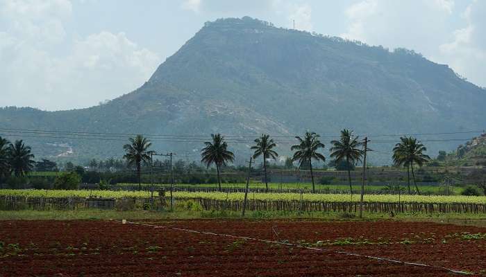 A view of the beautiful natural scenery of Chikballapur, Karnataka