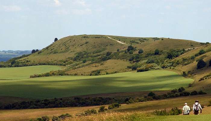 Panoramic view of a hill in Chiltern Hills near Ivinghoe Beacon during early summer, ideal for trekking near London