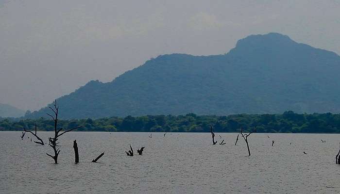 The lake has been put under efforts of conservation due to its impact on local livelihoods