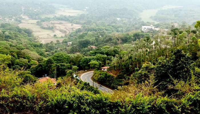 Coorg to Ooty Road trip