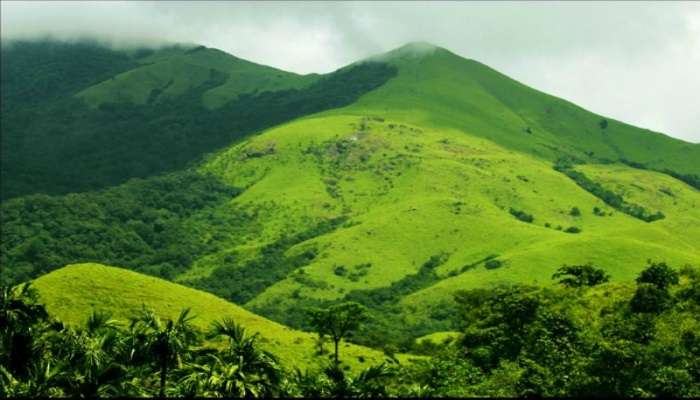Surrounded by lush greenery and serene scenic views, here's Coorg, also known as the Scotland of India