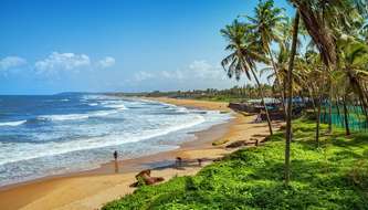 cruise stay in goa price