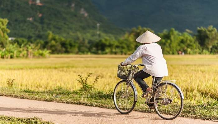  Rent a bike and cycle your way around Ben Tre