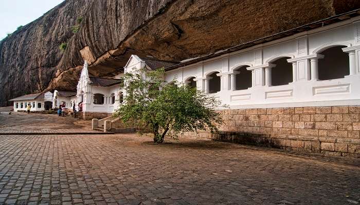 Dambulla Cave Temple in the town of Dambulla in Sri Lanka 