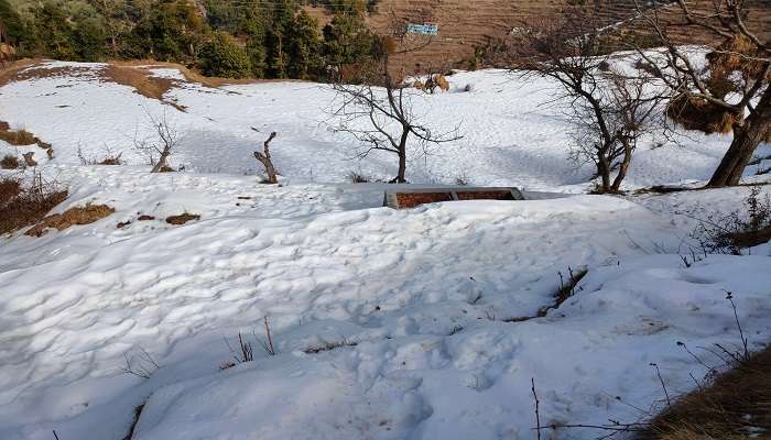  A mesmerising view of Dhanaulti