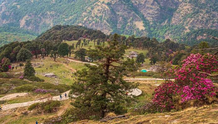 Trekking routes of Uttarakhand