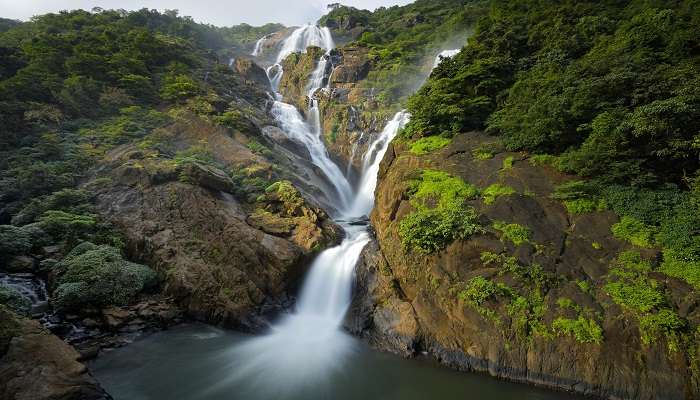 Witness the magnificence of the Dudhsagar Falls