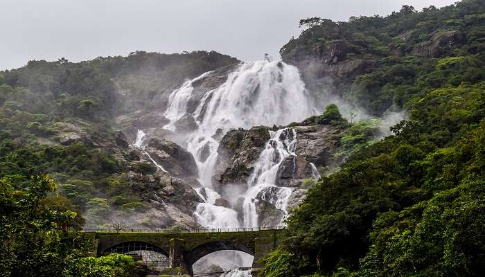 Air Terjun Dudhsagar, salah satu air terjun megah di Goa Selatan, mengalir turun di tengah hutan tropis.