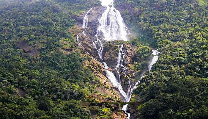 Tourists often regard Dudhsagar Waterfalls as one of the most exciting places to visit near Colva Beach