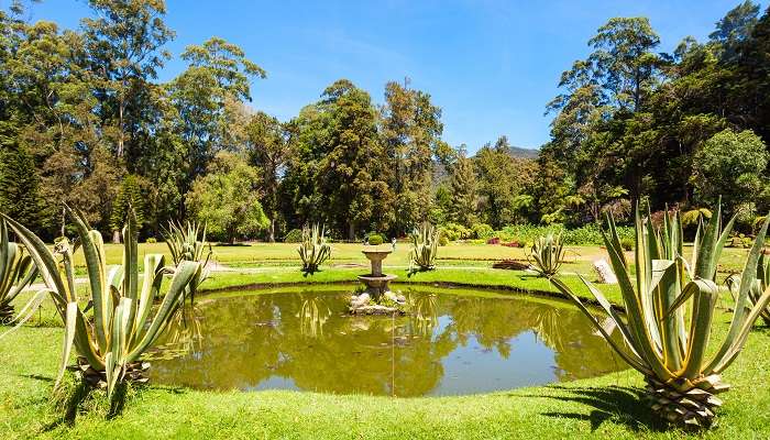 A beautiful pond in the centre of Victoria Park in Nuwara Eliya