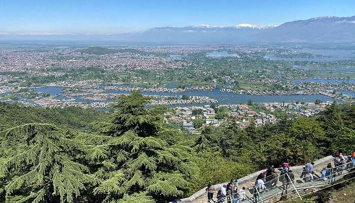 Devotees trekking to Shankaracharya Temple