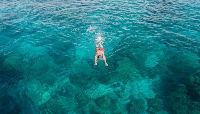 Explore marine life while snorkelling at Havelock island for a memorable trip.