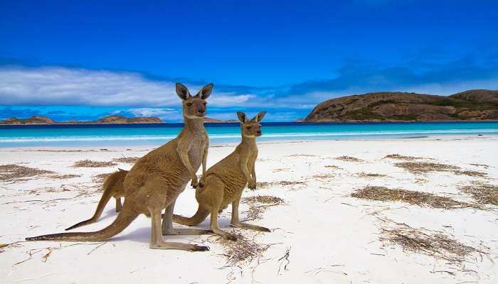 Check out the famous landmarks in Australia.