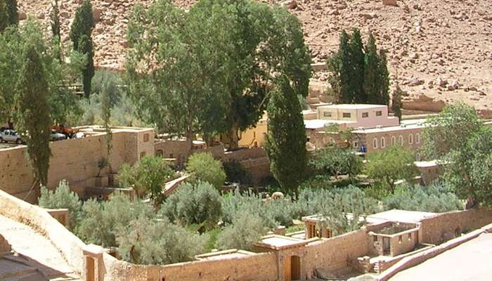 The garden in the Saint Catherine's Monastery Egypt
