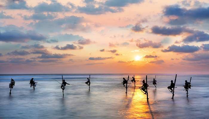 Traditional Stilt Fishing at Weligama Beach