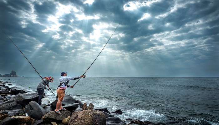 Go fishing in Islands of Australia