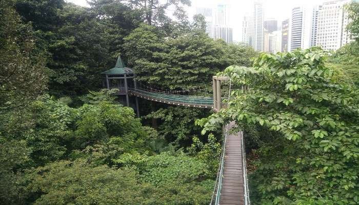Forest Eco Park, C’est l’une des meilleurs endroits à visiter à Kuala Lumpur