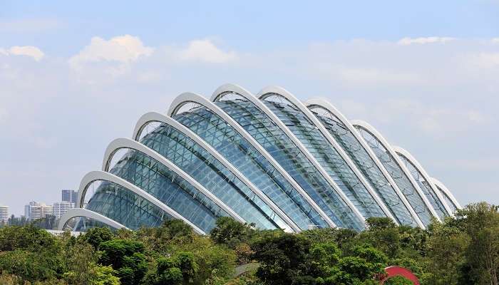 Foret nuageuse, C’est le meilleur endroits pour voyager seul à Singapour