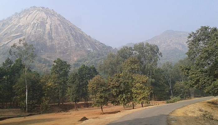 Enjoy the paranoic view of the stunning Gajodhara Hills