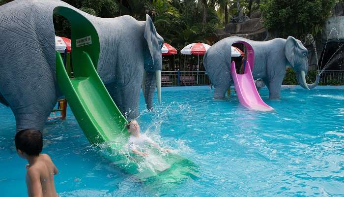 The slides are the perfect option for kids as well as adults