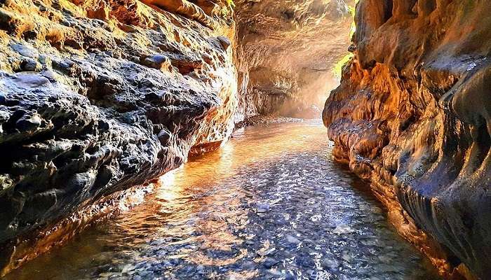 Discover the beauty of nature at Robber's Cave, one of the adventurous offbeat places in Dehradun.