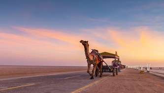 places to visit near kutch