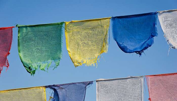 Several multi-coloured prayer flags surround deodar trees in Happy Valley. 