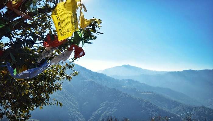 Happy Valley offers a great city escape making it among the amazing offbeat places near Mussoorie
