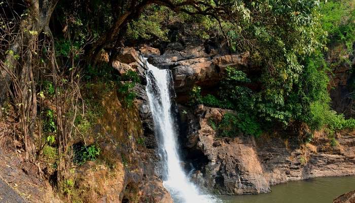 Discovering beauty's roar at Harvalem Waterfall