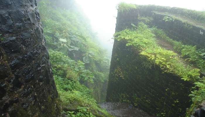  The Harihar Fort is one of the most popular trekking places near Nashik