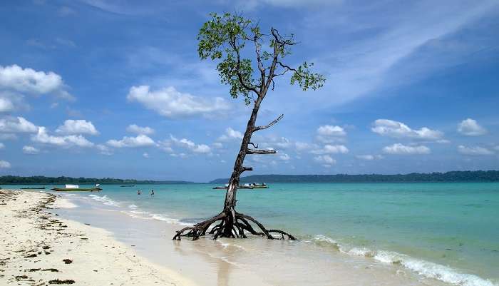 Havelock Island, near Snake Island Andaman is a perfect beachside vacation destination.
