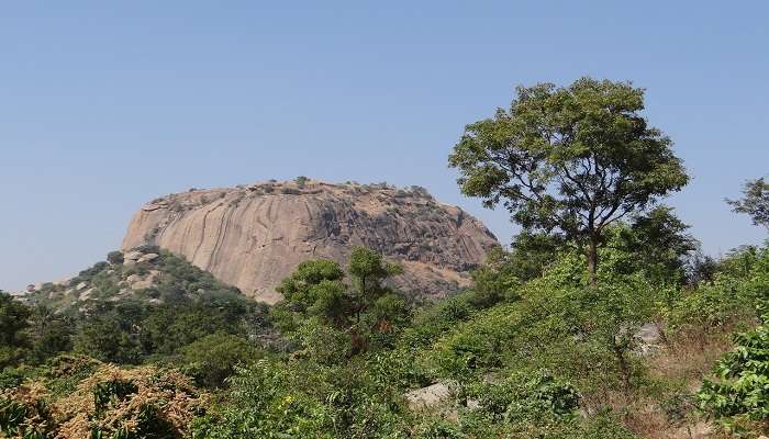 Natural surroundings around Nilakkal Mahadeva Temple