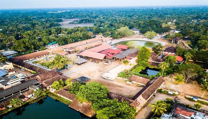 Aerial view of the Ambalapuzha temple