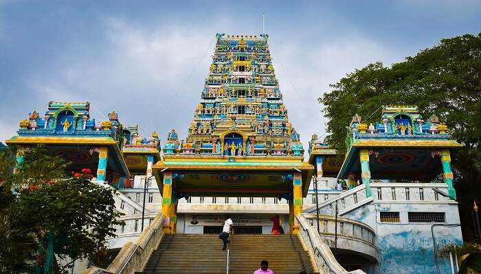 Read about the history of Marudhamalai Temple